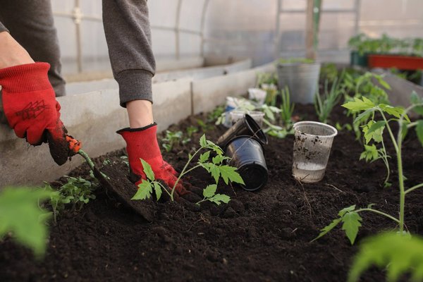 Accessoire Jardin