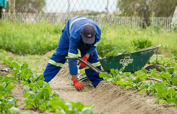 Comment choisir les accessoires adaptés à votre type de jardin, de sol et de plantes ?