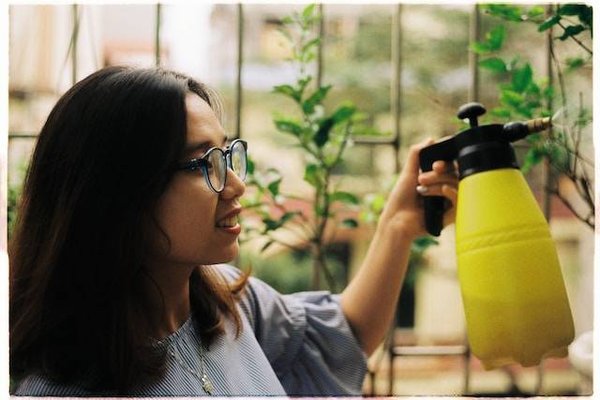 Comment lutter contre les maladies et les ravageurs de façon naturelle et préventive ?
