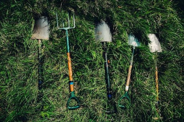 Comment choisir les outils adaptés à votre type de jardin, de sol et de plantes ?