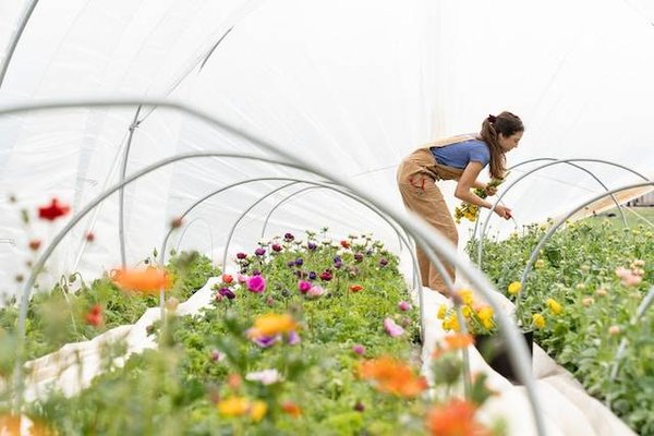 Comment profiter des bienfaits du jardin sur votre santé physique, mentale et émotionnelle ?