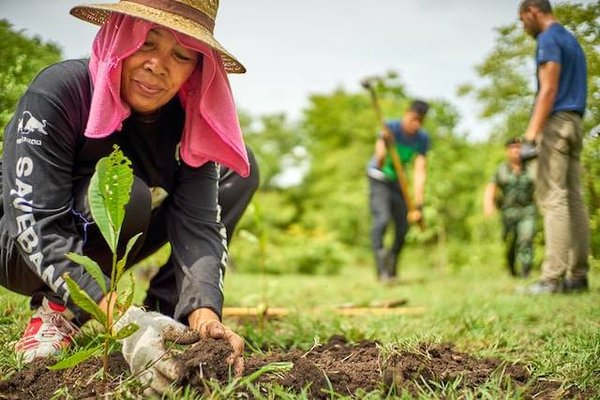 Comment contribuer à la protection de l'environnement et de la biodiversité grâce à votre jardin ?